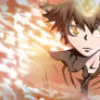 Signature Tsuna