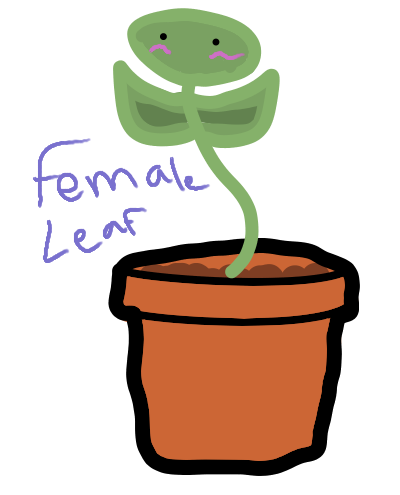 Female Leaf Palie