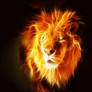 Burning Lion