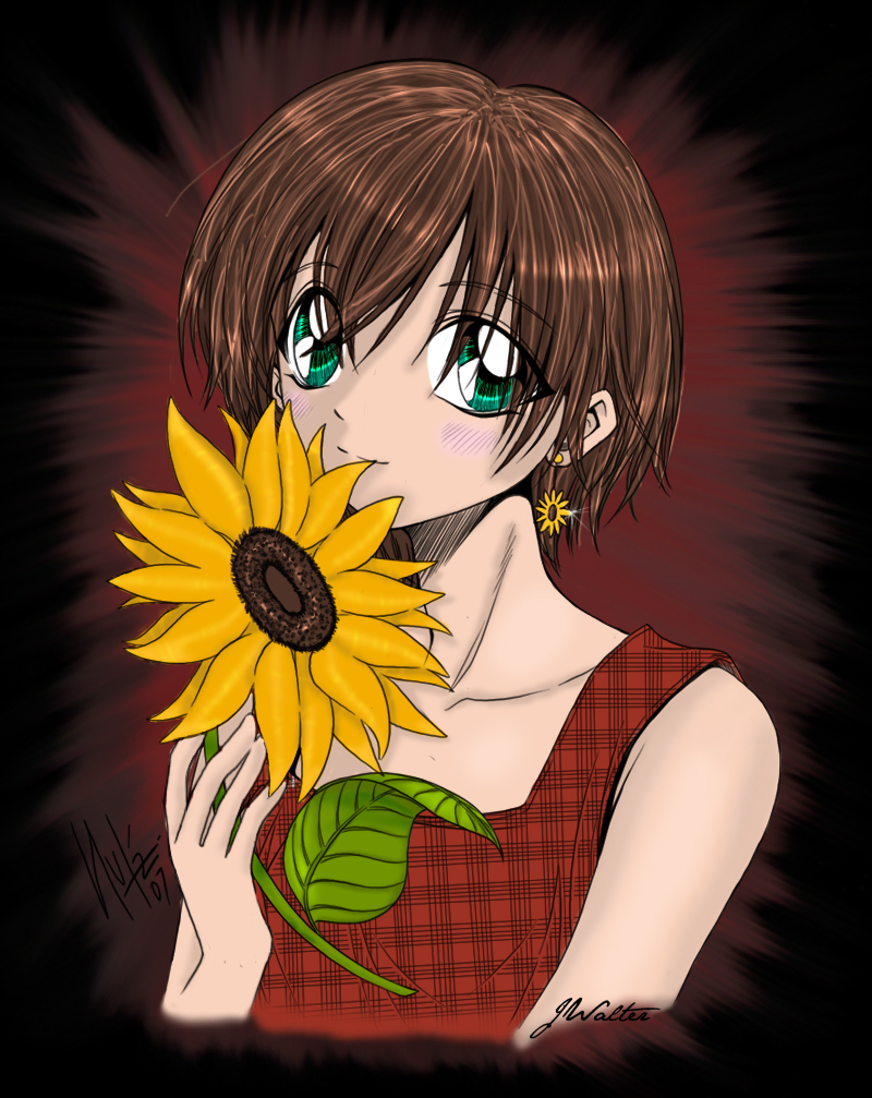 Sunflowers