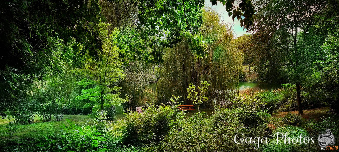 The beautiful colors of Oberla Park by gagaphotos on DeviantArt
