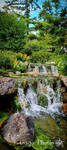 Japanese garden by gagaphotos