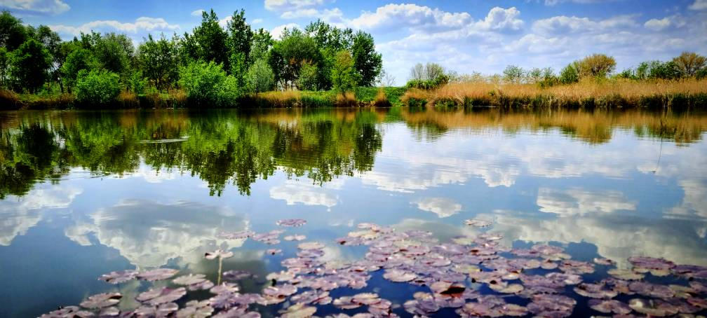 Pretty Reflection Beautiful reflection by gagaphotos on DeviantArt