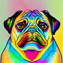 Colorful Pug