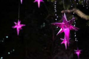 Purple Star