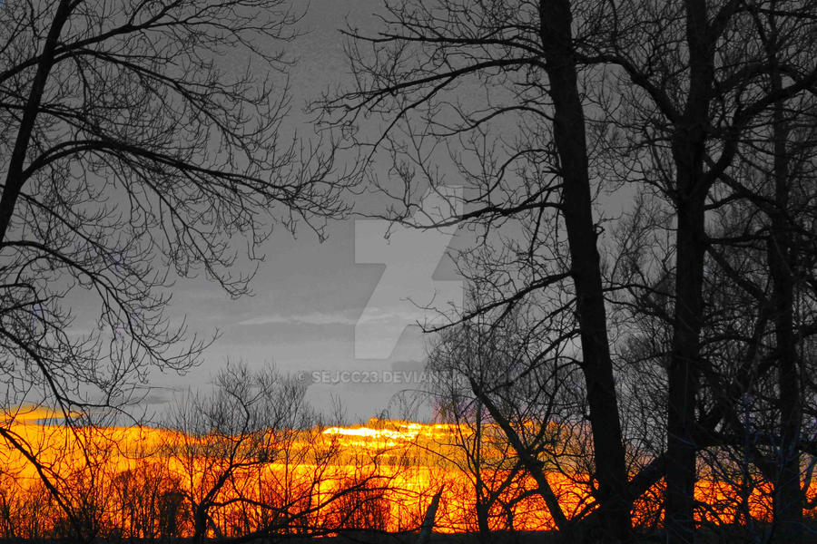 Grey Sunset Grey Sunset by sejcc23 on DeviantArt