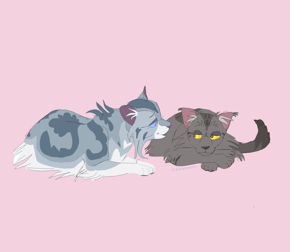 Коты Воители Крутобок и Милли