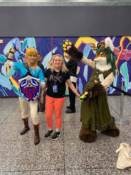 Link, fox and me