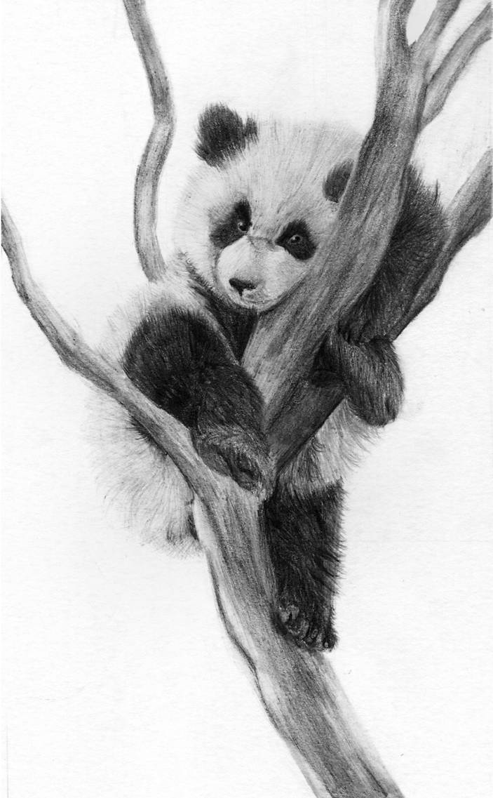 Panda By Rueppells Fox On DeviantArt Panda by rueppells fox on deviantart