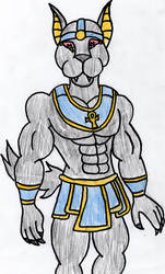 anubis new outfit