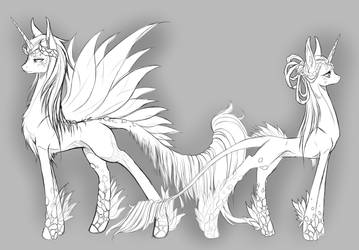 New species sketch