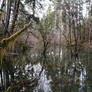 Beaver Dam Pond.