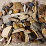 Petrified Wood.