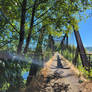 Bridge.