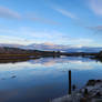 Willapa River. 