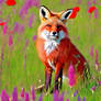 Red Fox In The Flowers.