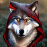 Little Red Riding Hood's Wolf.