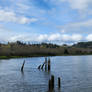 Willapa River.