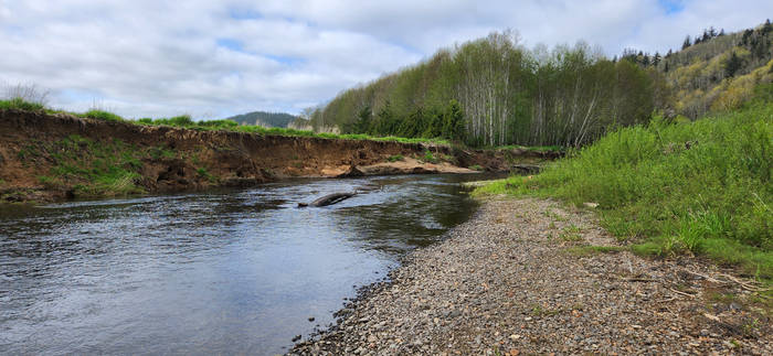 The Willapa River. 