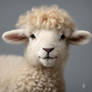 Little lion face lamb.