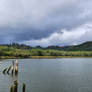 Willapa River.