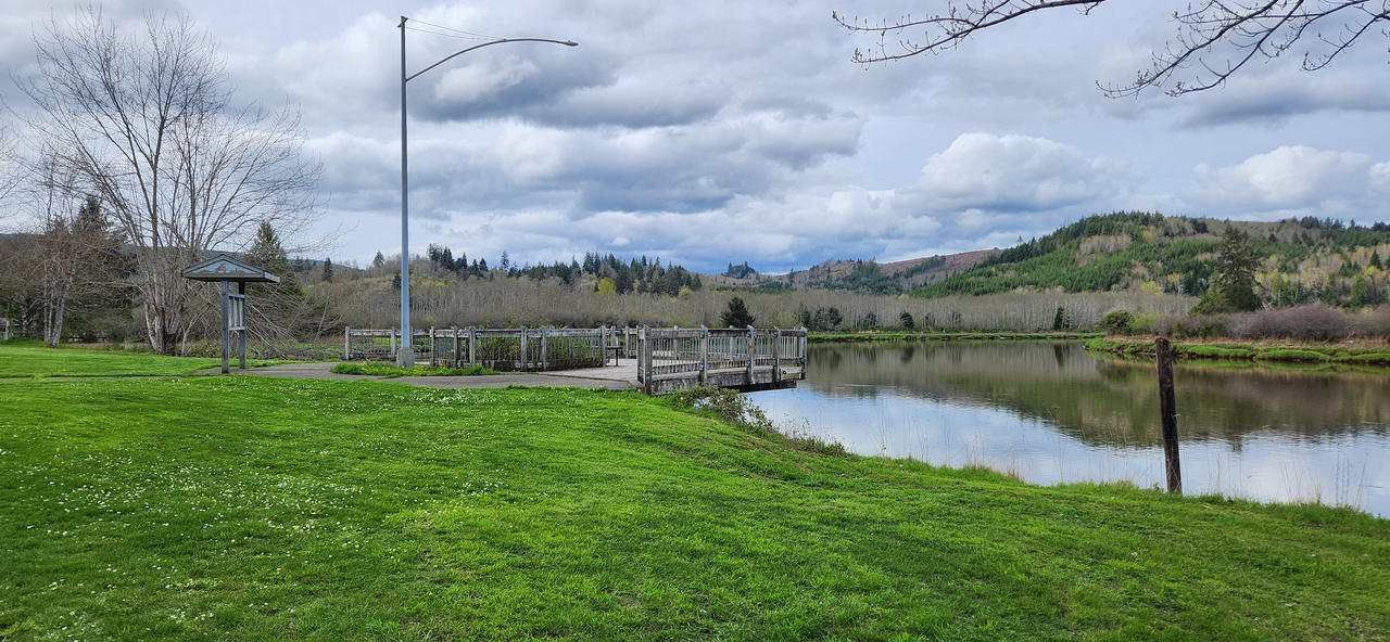 Understanding Marine Stranding