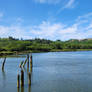 Willapa River.