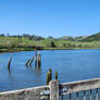 Willapa River at 8th Street Park.