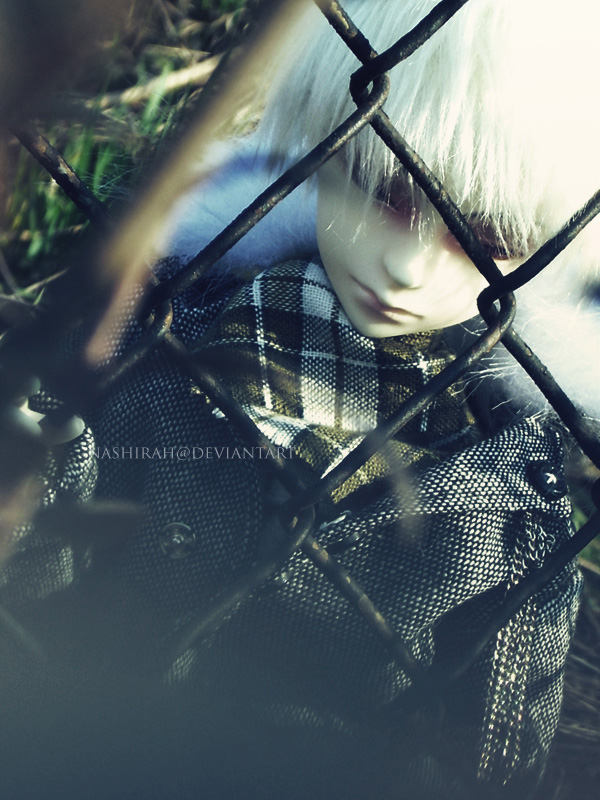 BJD: New Axis