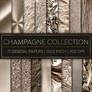 Champagne Collection - 17 Metallic Files