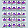 25 Essential Expressions_SHROOMIE