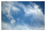 Good Morning Moon by tditzgb