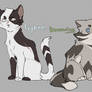 Ivypool and Dovewing