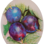 Plums