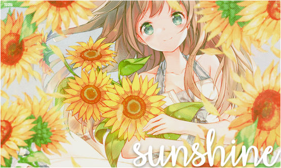Sunshine [Signature #2]
