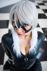 Kitty Cat (Black Cat 2.0)