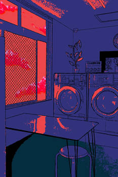 Night at The Laundromat