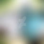 Furry Horizontal 33979773511