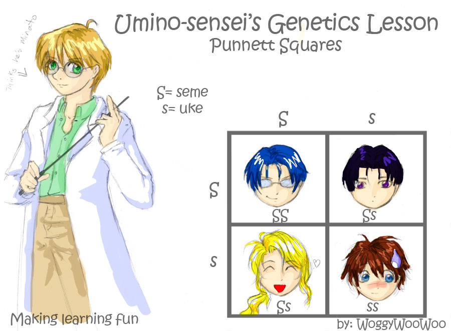 Genetics Lesson - Colored