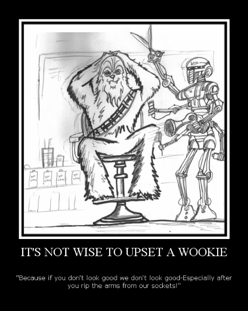 What Do You Get A Wookie......