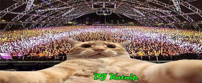 DJ Katnip is inda House