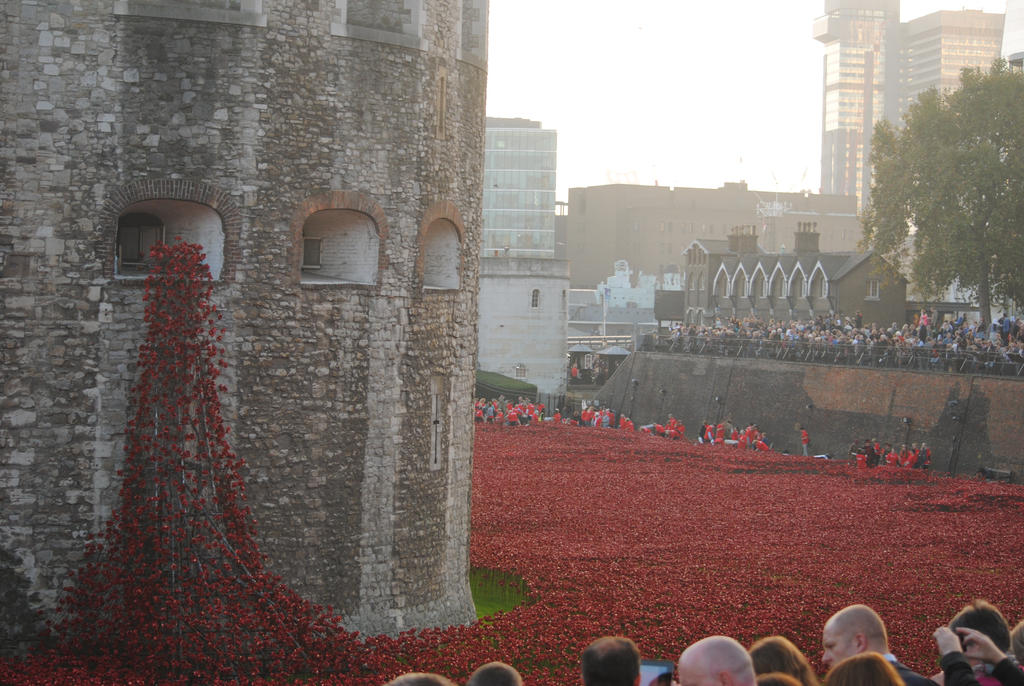 Blood Swept Lands and Sea of Red