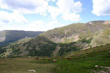 The Children of Trail Ridge