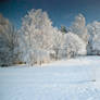 first morning of 2010