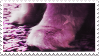 star paws stamp