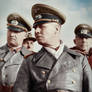 Rommel inspecting