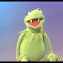 Kermit the Frog Bites Vincent