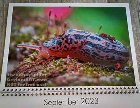 My own nature calendar 2023 - Sepetmber