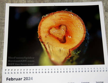 My own nature calendar 2024 - February