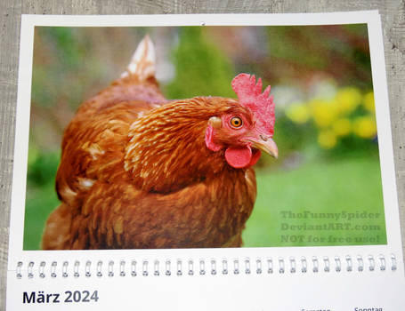 My own nature calendar 2024 - March